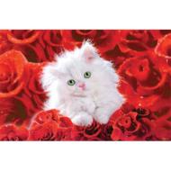 �L���b�g �A���h ���[�Y