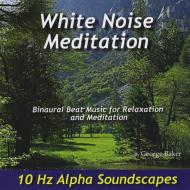 White Noise Meditation/10 Hz Alpha Soundscapes