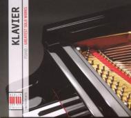ԥκʽ/Piano-great Solo Works R. schirmer Rosel Ousset Erber