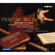 Renaissance Classical/Vergine Bella A. savall(S) Il Desiderio (Hyb)