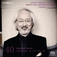 Хåϡ1685-1750/Cantata 79 137 164 168 Suzuki ڲ / Bach Collegium Japan 40(Hyb)