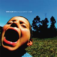 Songs To Scream At The Sun