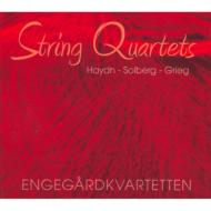 弦楽四重奏曲集/Engegard Q： Haydn Solberg Grieg： String Quartet (Hyb)