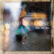 Little Wild One : Joan Osborne | HMVu0026BOOKS online - 19666