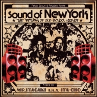 Mr Itagaki A. k.a. Ita-cho/Sound Of New York The Return Of Old School Hiphop (Ltd)(Pps)