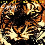 Eye Of The Tiger