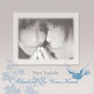 Bluebird In Your Heart