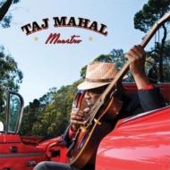 Taj Mahal/Maestro