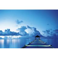 �g���C���C�g