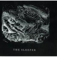 How Shadows Chase The Balance