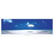 �t�H�[�G�o�[�h���[��