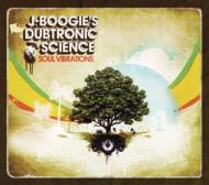 J Boogie's Dubtronic Science/Soul Vibrations
