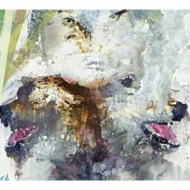 Tail Swallower And Dove