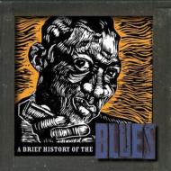 Various/Brief History Of The Blues
