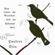 Twelves Trio/Here Comes The Woodman With His Splintered Soul