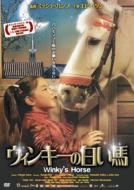 Het Paard Van Sinterklaas