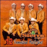 Banda Sierra De Durango/12 Venenazos Musicales