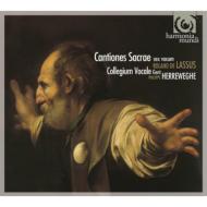 Canciones Sacrae Sex Vocibus: Herreweghe / Collegium Vocale Gent