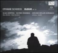 å1886-1957/Elegie Muller-hornbach / Mutare Ensemble Mertens(Br) (Hyb)