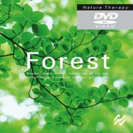 Documentary/ͥ㡼ԡ - Forest