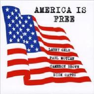 Larry Gelb/America Is Free