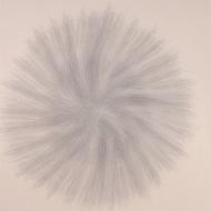 Rhythmic Movement Disorder