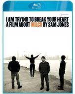 I Am Trying To Break Your Heart