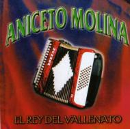 Rey Del Vallenato