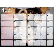 Gremlin / Schedule Note Book