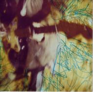 Freaks Of Go Go Spectators 2 [sell Out]