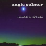 Angie Palmer/Meanwhile As Night Falls