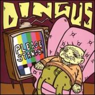 Dingus/Please Stand By