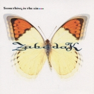 Something In The Air