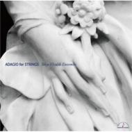 String Orchestra Classical/Adagio For Strings ǥ