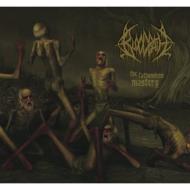 The Fathomless Mastery