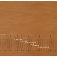 Micro Macro/�˾����礹�ʤ������