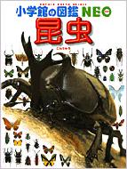昆虫 3 小学館の図鑑NEO : 小池啓一 | HMV&BOOKS online - 9784092172036