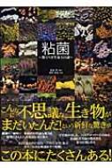 粘菌 驚くべき生命力の謎 : 松本淳 | HMV&BOOKS online - 9784416207116