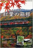 �g�t�̔��� �����o�R�S���ōs��