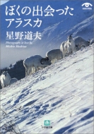 �ڂ��̏o������A���X�J