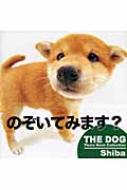 Shiba THE@DOG@Photo@Book@Collection