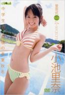 Rina Shiki-4seasons-