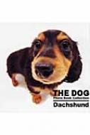 Dachshund THE@DOG@Photo@Book@Collection