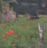 Truth Is Stranger Than Fiction