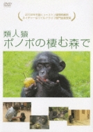類人猿ボノボの棲む森で | HMVu0026BOOKS online - PCBG-10999