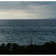 Meta-Inorganicmatter