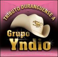 Various/Grupo Yndio： Tributio Durangeuense