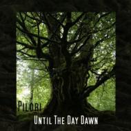 Pilori/Until The Day Dawn