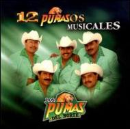 Los Pumas Del Norte/12 Pumazos Musicales