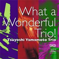 What A Wonderful Trio : 山本剛 | HMV&BOOKS online - FIMDXD079